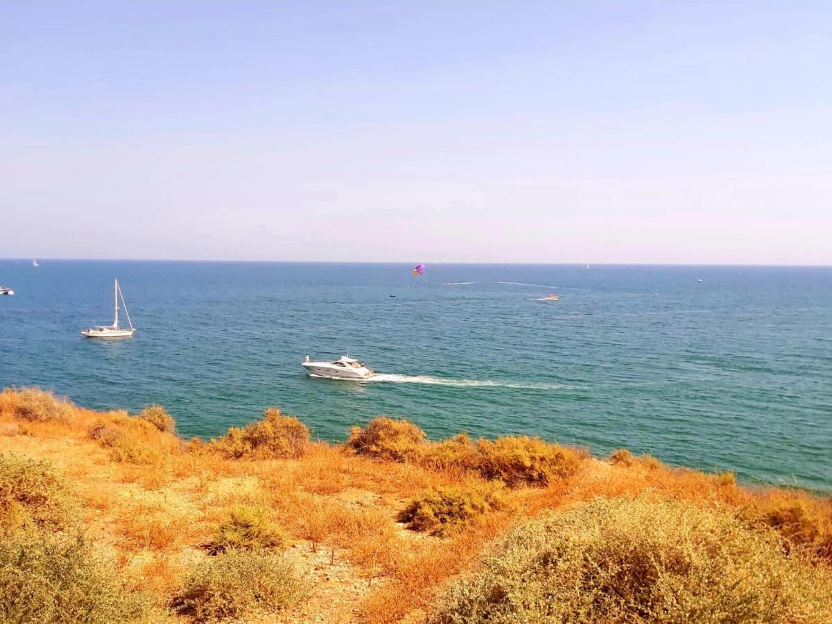 Sea View Penthouse In Albufeira Apartment ภายนอก รูปภาพ
